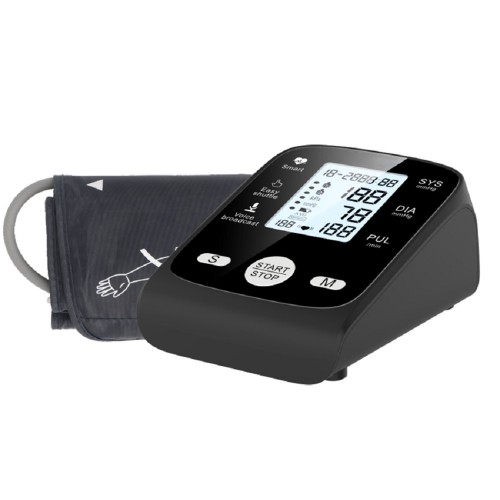 Voice blood pressure monitor