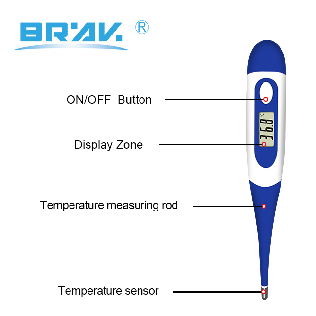 Digital Thermometer Fever Temperature