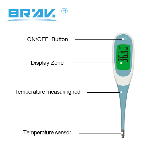 Digital Body Temperature Thermometer