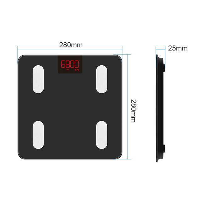 Body Composition Scale