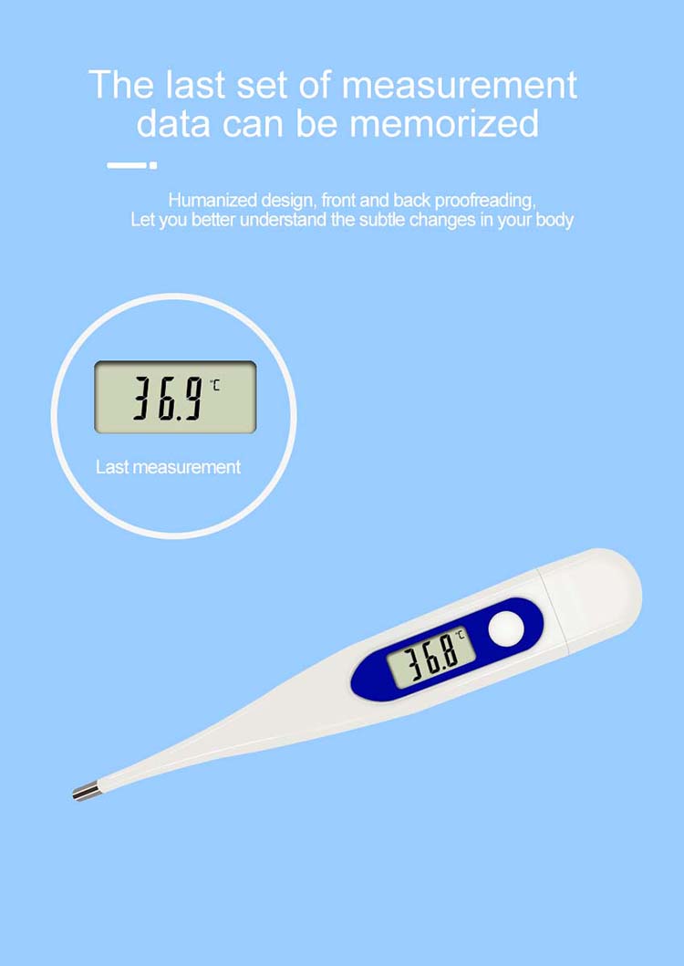 digital thermometer with sensor probe.jpg